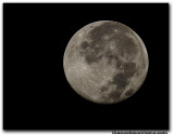 moon5029.jpg
