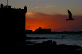 Essaouira, Morocco