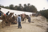 t08s101_OurCamelRide.jpg