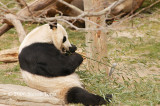 DSC_3802_web.jpg