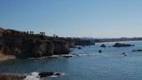 DSC_3135.JPG