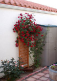 DSC_3565.JPG