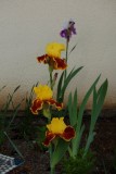 DSC_3612.JPG