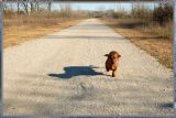 escaping the shadow