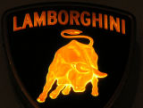 a bull called lamborghini