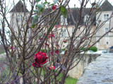 Clos de Vougeot