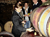 tasting Drouhin-Larauze