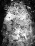 Ice-cold