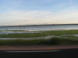 CAMARGUE
