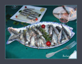 sardines and anchovies