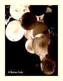 inspired by : Marie-Hlne Raletz