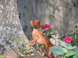 GREAT PICTURE OF THE BABY