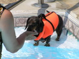 GETTING READY TO SWIM