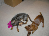 TISH AND SMOKEY LOVE TO FIGHT