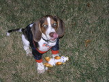 PICS OCTOBER 6, 2007 074.jpg