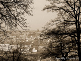 Praga07.jpg