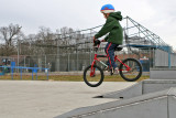 IMG_6565-copy.jpg
