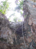 cenote outside of Tulum
