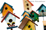 Houses