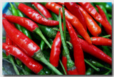 Red chillies