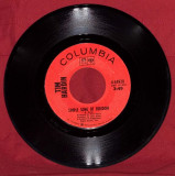 Tim Hardin, Simple Song of Freedom