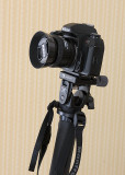 Manfrotto Monopod