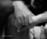 _MG_2556.jpg