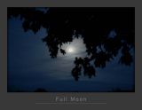 Full Moon