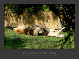 King