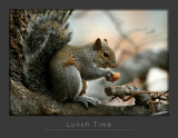 Lunch Time