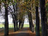 driveway to manor
