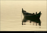 Boat and Seagulls