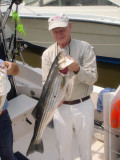 2007 Spring Trophy Striped Bass Fishing - Chesapeake Bay Sportfishing Charters  with Down Time Charters