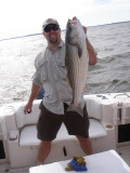 7/1/2007 Bret Charter - nice 31 striper trolled up at the Bay Bridge