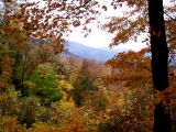 Colors on Roaring Fork Motor Trail