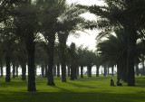 Sharjah Corniche