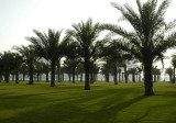 Sharjah Corniche