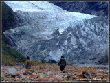 Franz Josef Glacier, South Island