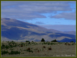 Lake Pukaki Surroundings