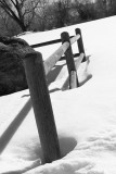 BW fence posts in snow.jpg