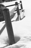 BW fence posts in snow -IV.jpg