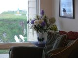 Out Front Window