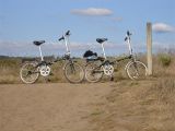 Our Dahon Bikes