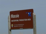 Massie