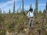 Hike in boreal/tiaga forest