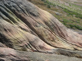 Hydrogen sulfide smell in whole area