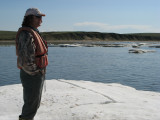 Taking bug-free break on ice floe