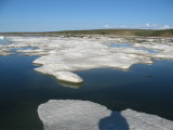 This day the ice was dense, moving with tide-current