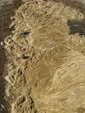 bigger view of the foam