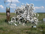 Years worth of native 'bou hunting